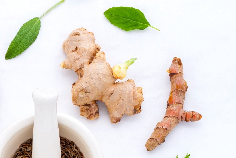 Ingwer, Arzneipflöanze des Jahres 2026