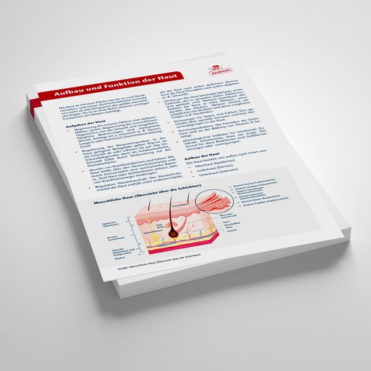 Vorschaubild Lernzettel Haut