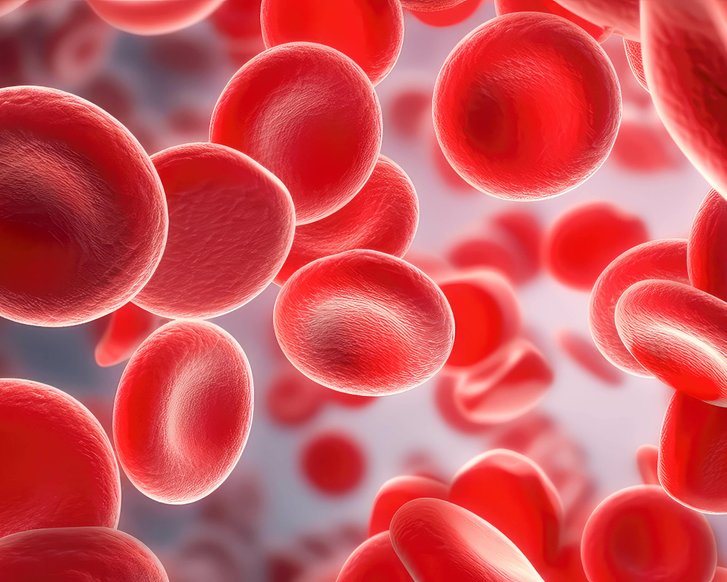 Verordnung regelt Telemedizin bei Blutspende