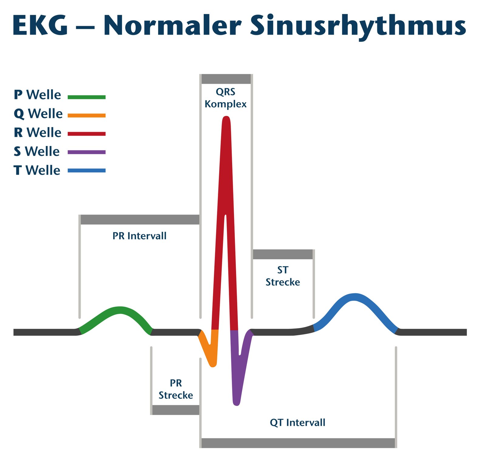 Elektrokardiographie Durchf hrung Und Analyse Eines EKG