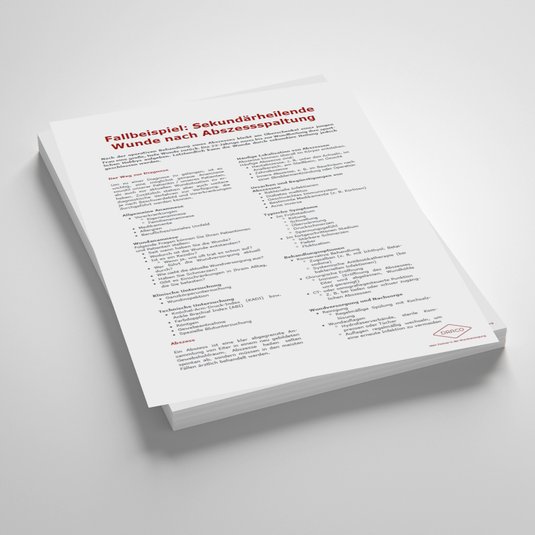 Vorschaubild Handout: Fallbeispiel – Sekundärheilende Wunde nach Abszessspaltung