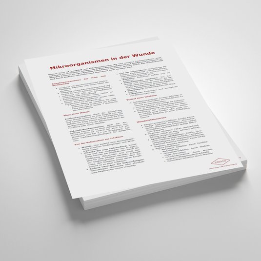 Vorschaubild Handout: Mikroorganismen in der Wunde