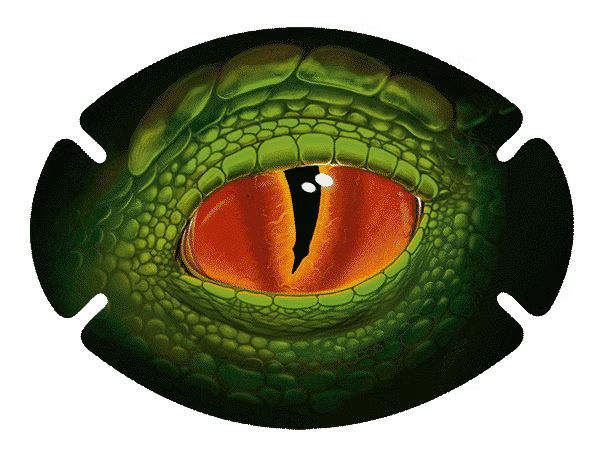 augenpflaster-motiv-dinoauge.pn Nahaufnahme eines Dinoauges