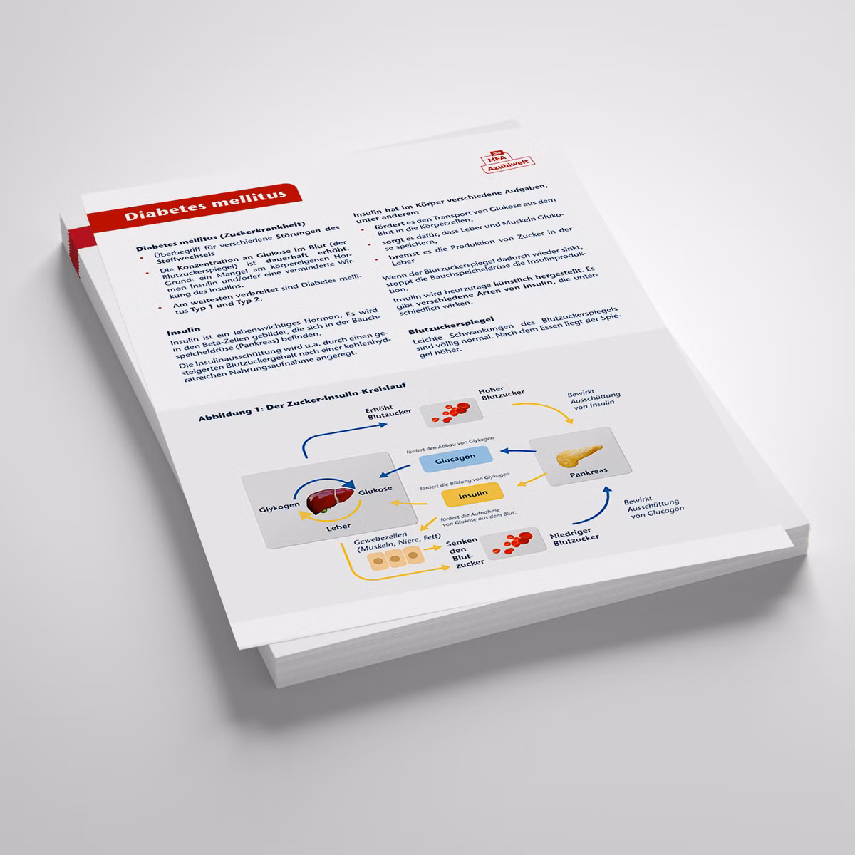 Vorschau Lernzettel Diabetes mellitus, MFA-Azubiwelt