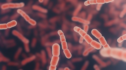 Risiko Sepsis – Wenn jede Sekunde zählt