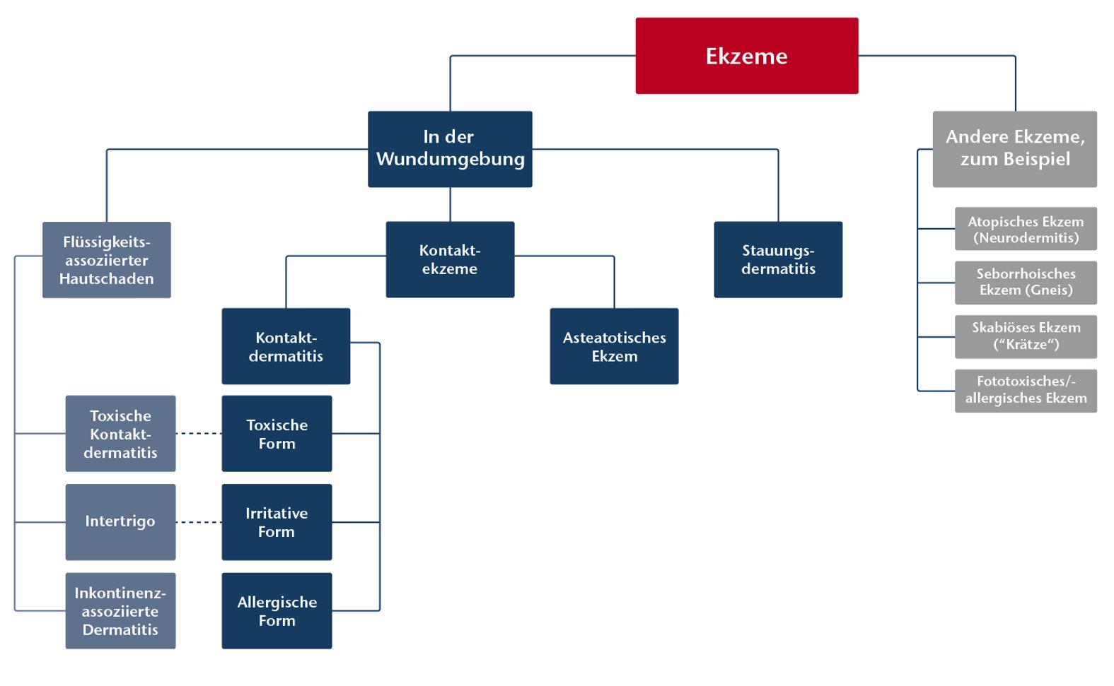 Übersicht verschiedener Ekzem-Formen