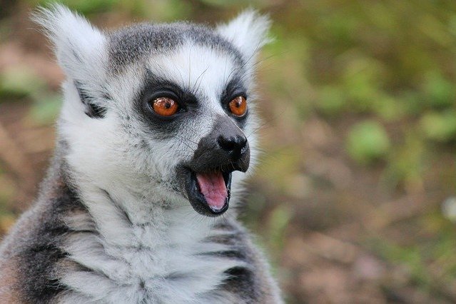 Blog Headerbild Zeitmanagement