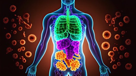 Autoimmunerkrankung – Der Kampf gegen den eigenen Körper