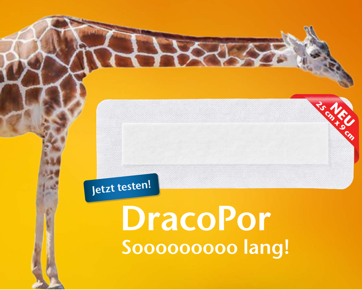 DracoPor in neuer Größe