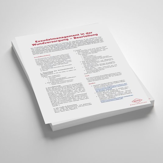 Vorschaubild Handout: Exsudatmanagement in der Wundversorgung – Beurteilung
