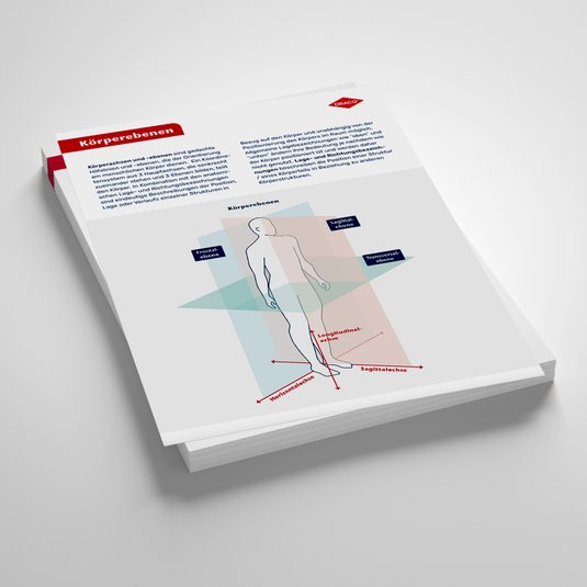 Vorschau Lernzettel Körperebenen, MFA-Azubiwelt