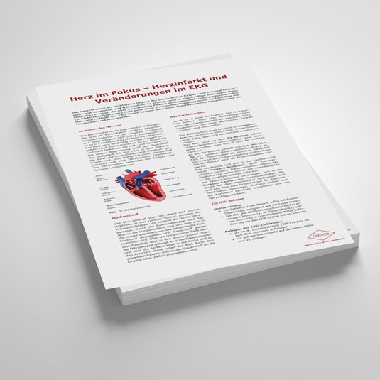 Vorschaubild Handout: Herz im Fokus – Herzinfarkt und Veränderungen im EKG
