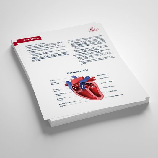 Vorschau Draco das Herz