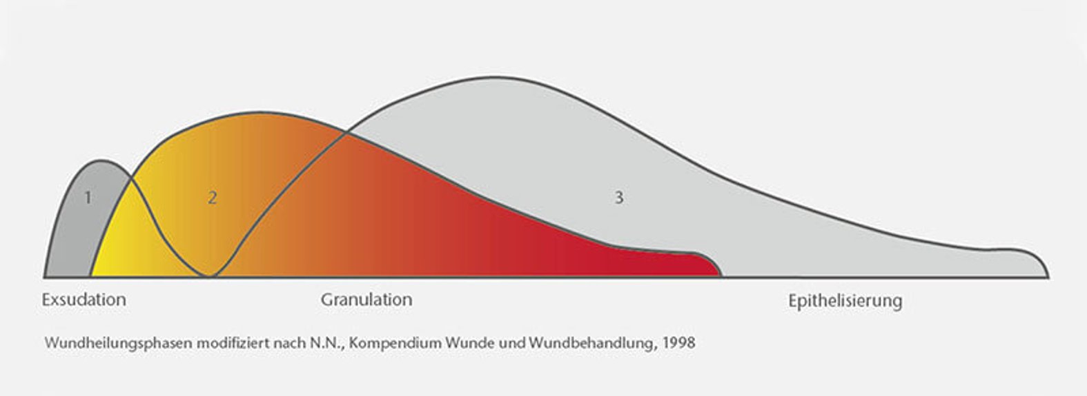 Infografik mit drei Kurven zum zeitlichen Heilungsverlauf