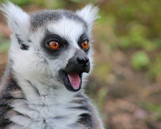 Zeitmanagement - Gleiche Zeit, mehr Nutzen