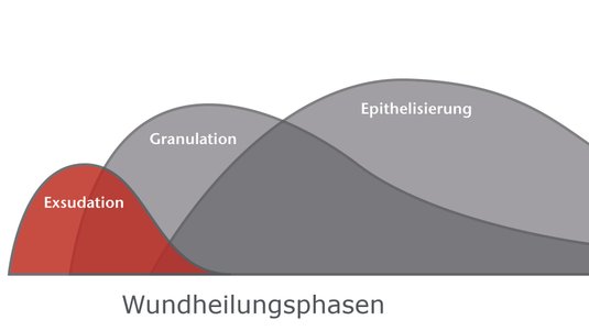 Exsudatmanagement in der Wundversorgung – Kernwissen