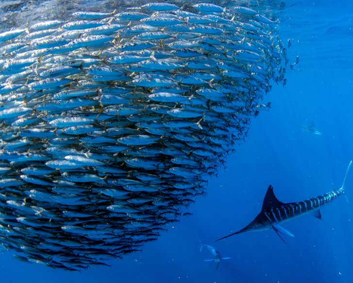 Sicherheitsmaßnahmen in der Apotheke: Tipps zum Schutz vor Überfällen