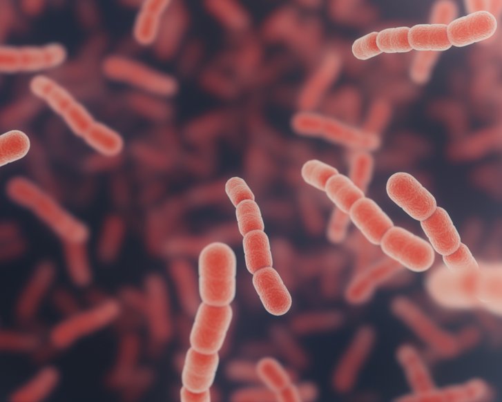 Sepsis im Blick: Wissen kann Leben retten