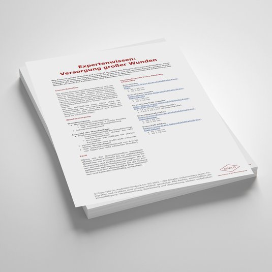 Vorschaubild Handout: Expertenwissen: Versorgung großer Wunden