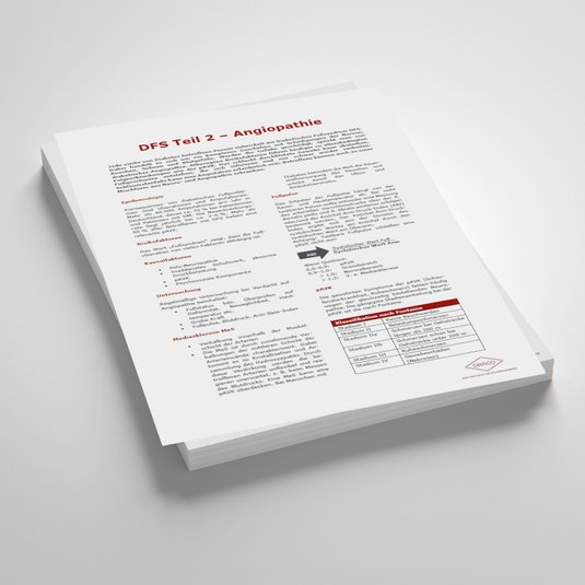 Vorschaubild Handout: DFS Teil 2 – Angiopathie