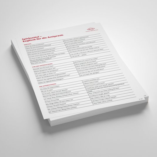 Vorschau Draco Spickzettel Englisch