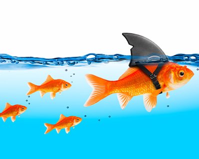 Teamleitung – 7 Tipps für Euch