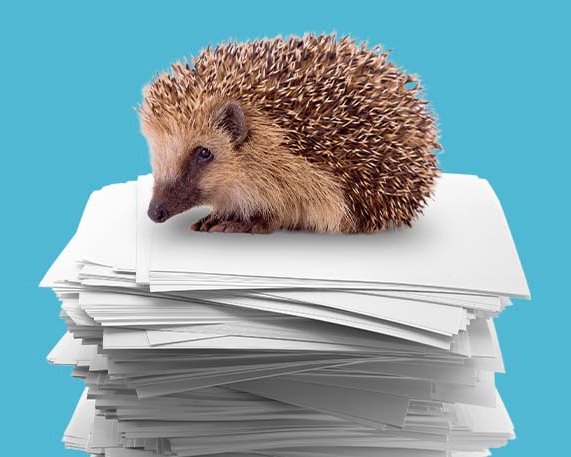 Richtig IGeLn – gar nicht so einfach