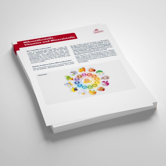 Vorschaubild Lernzettel Mikronährstoffe