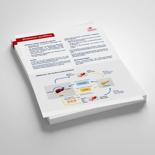 Vorschau Lernzettel Diabetes mellitus, MFA-Azubiwelt