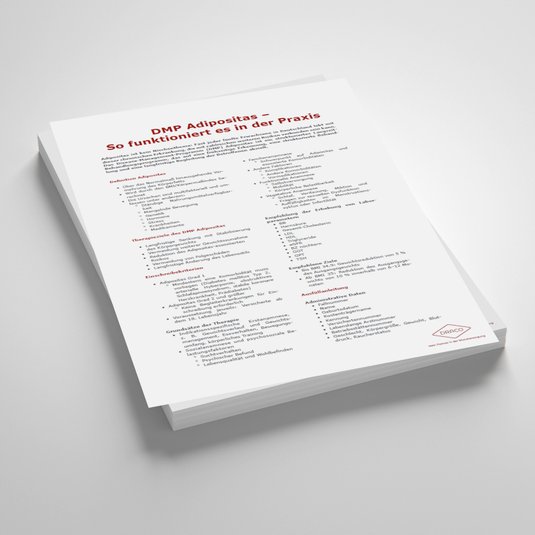 Vorschaubild Handout: DMP Adipositas