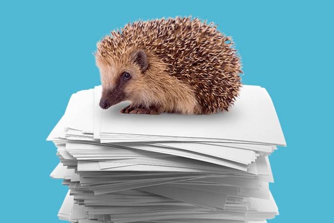 Igel auf einem Stapel Papier