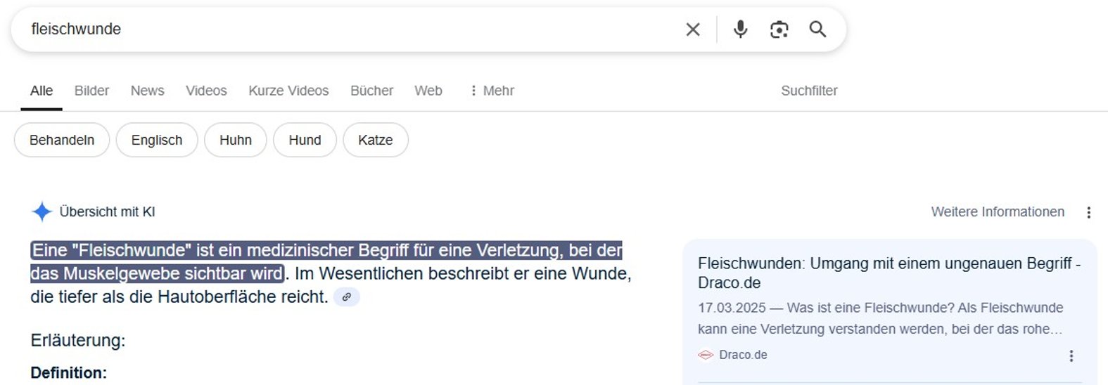 Screenshot: Google-KI zum angeblichen Fachbegriff 'Fleischwunde'