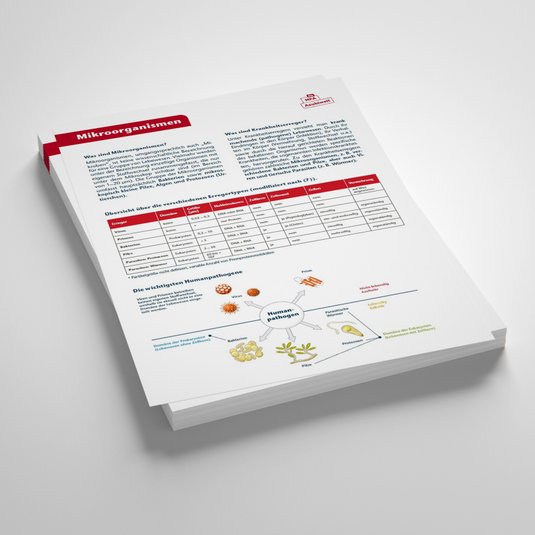 Vorschau Lernzettel Mikroorganismen, MFA Azubiwelt
