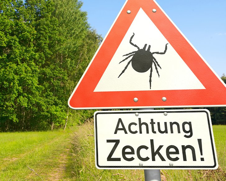 FSME-Impfung und Zeckenschutz jetzt thematisieren 