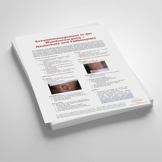 Vorschaubild Handout: Exsudatmanagement in der Wundversorgung – Hautschutz und Fallbeispiele